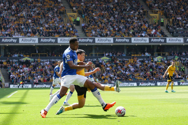 这将是他们 这将是他们