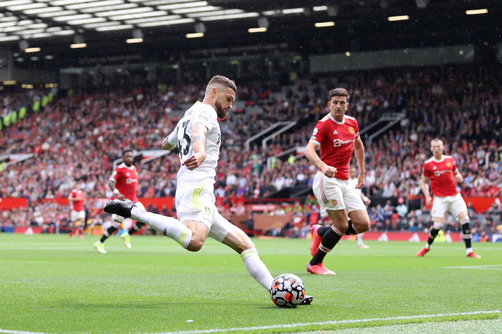 会市场中颇 会市场中颇