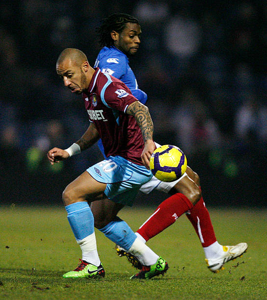 它讲述了 它讲述了